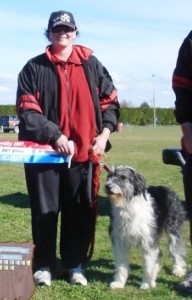Robyn & Henery (Bearded Collie)